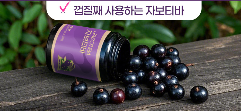 자보티바 열매