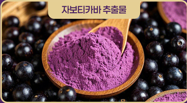 자보티바 추출물
